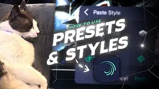 how to use presets in alight motion