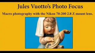 Macro photography with the Nikon 70-200 2.8 S Z mount lens.