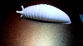 Anycubic Vyper против Mono X: &laquo;Схватка&raquo; с моделью Slug