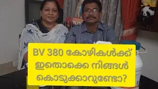 BV380 കോഴികൾക്ക് കൊടുക്കേണ്ട Minerals