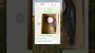 Why isn&rsquo;t the fish eating? 🐟💀 #shorts #funny #texting #dad #fails #comedy