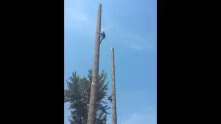Speed Climb 2015 Buckley Log Show
