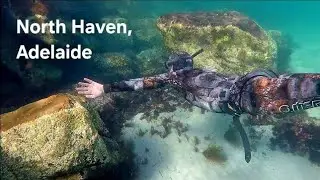 Underwater North Haven, near the marina - Adelaide Freedive Tribe
