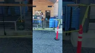 City Hatchery harvesting salmon for the eggs Sitka Alaska Hatchery