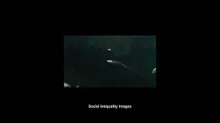 How market work?