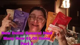 New Dollar General Haul Many New $1.00 Items Part 2