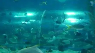 CIMG0498