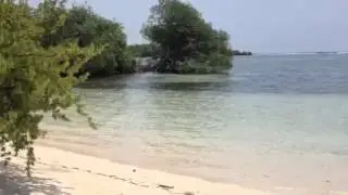 Barefoot cay beach
