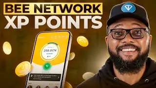 Как накапливать очки опыта Bee Network