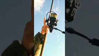 Go on&hellip; have ONE MORE CAST! #carpfishing #bigcarp #fishing #monster #fishinggear