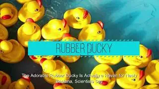 The Adorable Rubber Ducky Is Actually a Haven for Nasty Bacteria, Scientists Say
