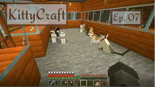 KITTYCRAFT Ep. 07 | Herding Cats!