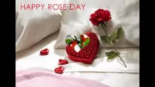 Happy Rose Day | Happy Rose Day 2015