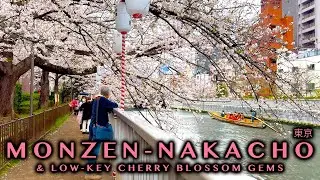 Tokyo Low-Key Cherry Blossom Gems, Traditional Japanese Boats, Sakura Illumination, ASMR Silent Vlog