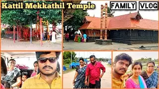 Family trip to Kollam Manikettu Temple | Car vlog