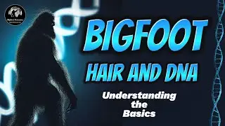 Bigfoot DNA and Trace Evidence: Understanding the Basics