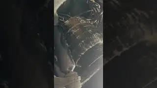 💨⚠️ Two Suspension Air Bags Leaking &ndash; Found with Soap & Water 🚛🛠️