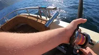 Trolling for seatrout