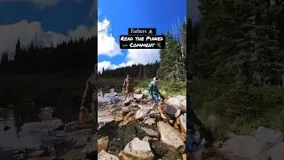 Hiking Barefoot Because Why? #shorts #hiking #mountains