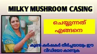 Milky Mushroom Casing Video Malayalam/crown mushroom/Malayalam|Fzlife