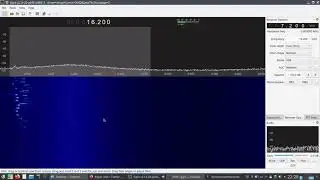 The bat echolocation sounds (spec. no.2) via Airspy HF+ SDR receiver