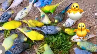 Budget happy moment