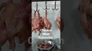 Chicken Meat 🍖 #chicken #chickenmeat #meat