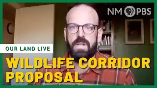 LIVE NOW: Wildlife Corridors Proposal