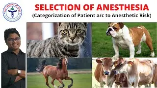 Selection of Anesthetics | Anesthesiology | Lecture 03