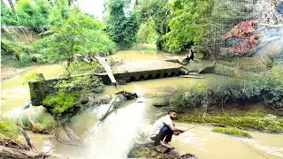 Deep Forest River Adventure | Cooking & Eating Fish in Pure Nature | Asian Wild Harvest