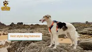 Dog Support Vest Harness / Custom Pet Supplies
