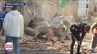 Cae &aacute;rbol sobre autom&oacute;vil en Benito Ju&aacute;rez tras sismo en CDMX | DPC con Paola Rojas