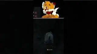 We Build Trickster a House | #foxysama94 on #Twitch
