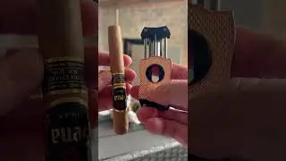 WORLD'S MOST MOUTHWATERING SENA CIGAR  ON A SUNNY DAY! CAN YOU HANDLE THE FLAVOR? 🌞🔥 #cigar #asmr
