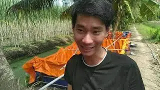 Kỹ thuật nuôi ốc bươu đen trong bể bạt | @nongnghieptv2961