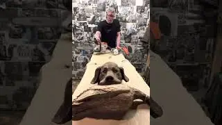 Chainsaw carving 101. A safety meeting