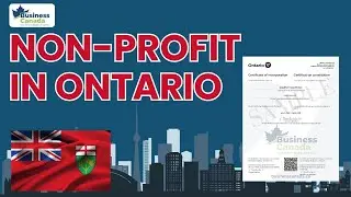 How to Register a Non-Profit Organization in Ontario | Step-by-Step Guide