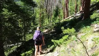Roaring Creek trail in the Poudre Canyon