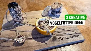 3 kreative Vogelfutter Ideen 🐦&zwj;⬛