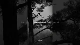Without Me - Halsey | lyrics | aesthetic | whatsapp status | English songs | slowed | sped up#lyrics