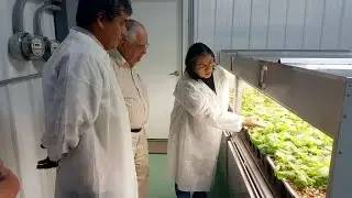PROYECTO DE PRODUCCION DE SEMILLA DE PAPA EN FITOTRONES