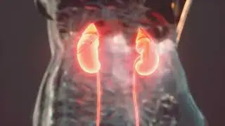 Instant Healing Kidney Pain Relief Music - 319.88 Hz Frequency Relaxing Nature Ambient Healing Music