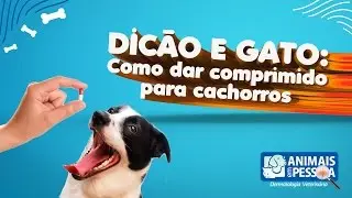 Como dar comprimido para cachorros.