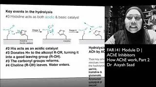 Medicinal chemistry: How ACETYLCHOLINESTERASE ENZYME work? How ACETYLCHOLINE gets HYDROLYSED?