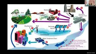 The State of Science on Florida's Reclaimed Water Use