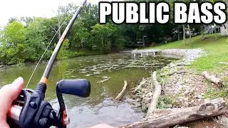 Summer Bass Fishing in Public Water - Summer Texas Rig Fishing!