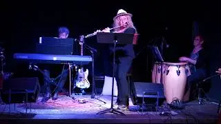 Sunshowers - The Latin Jazz Eclektive
