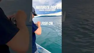 Feeling The Bite! 👀 Chinook Salmon #fishing #jigging Pt. Wilson Dart 🎯 #tacoma 🌮 #washington 🍎