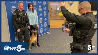 K9 Officer Roam, Springs police dog stabbed in the line of duty, retires to become ambassador