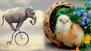 2018 Best Award Winning Photos of the World || Top Awarded Photos of 2018